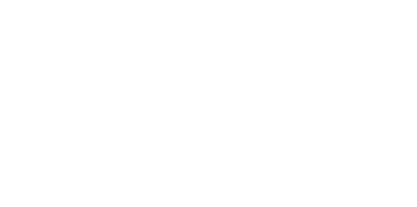 logo partenaire region auvergne rhone alpes rvb blanc